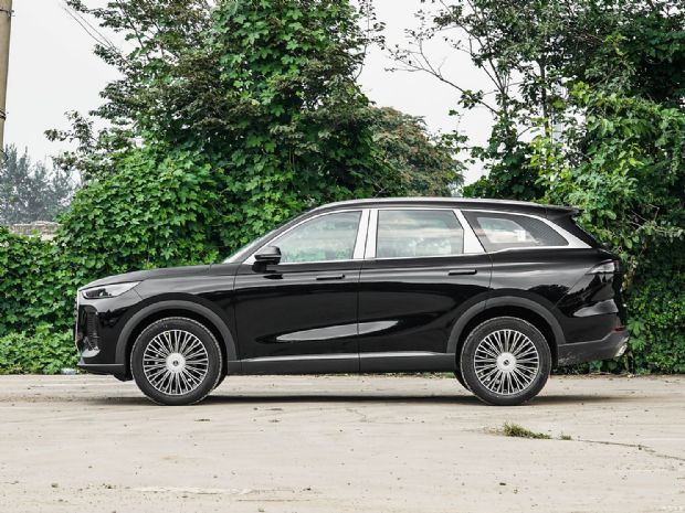 奇瑞汽车 瑞虎8 L 2024款 2.0T 两驱豪华版 7座