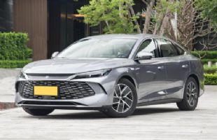 ���ǵ���L DM