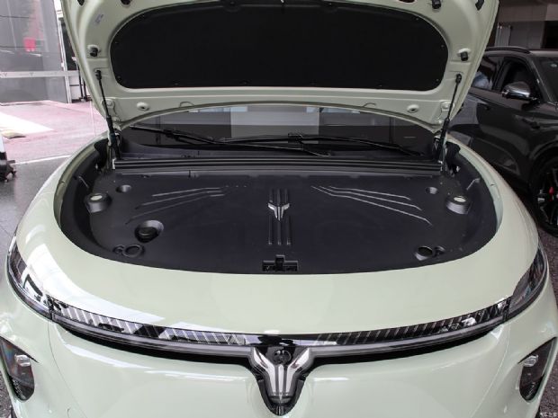 岚图汽车 岚图知音 2024款 单电机高功率 三元锂