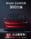 300Model 3ơ