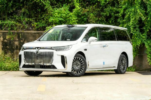 2026款岚图梦想家