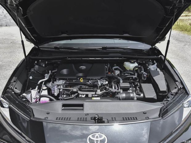 ����֮��