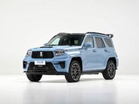 2026��̹��700��ʽ���� �ۼ�42.8-50.8��Ԫ