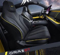 �ڻƷ�ëƤ���գ�ŷ��5GT���ι�ͼ��ʽ����