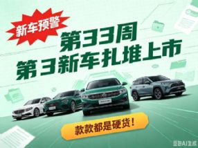 ��33���³��������� ���Ա��ǵ�/����/�����