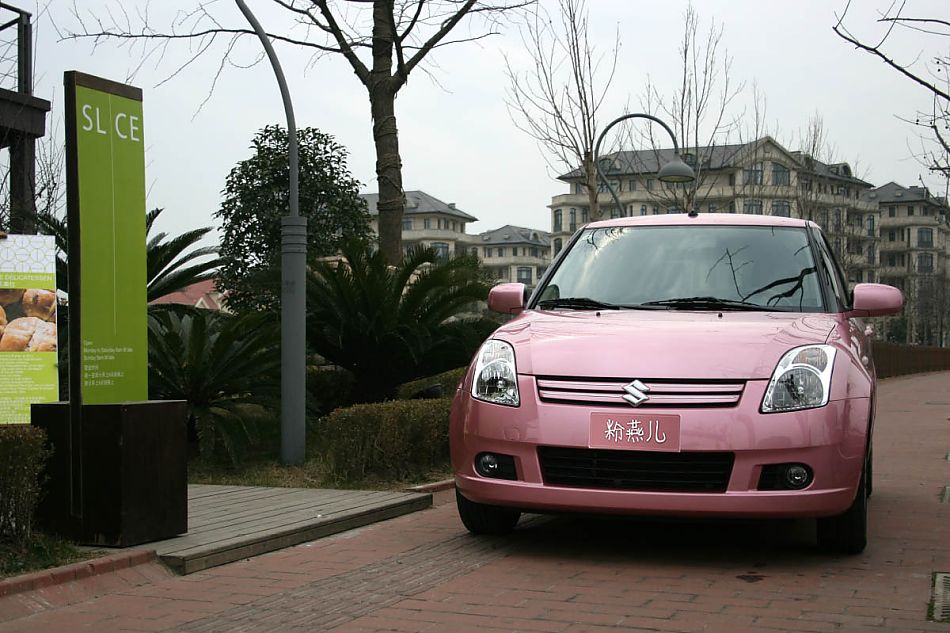 粉红雨燕特别版