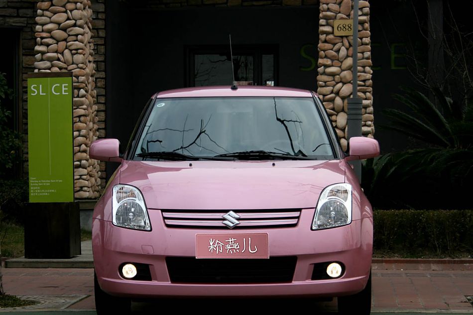 粉红雨燕特别版