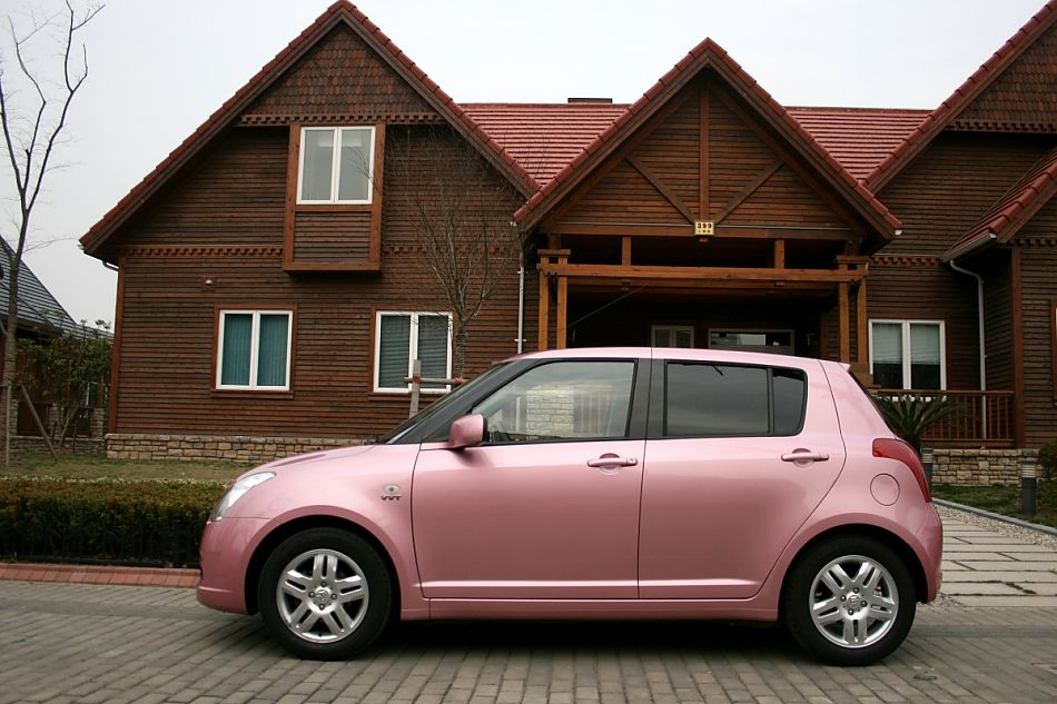 粉红雨燕特别版