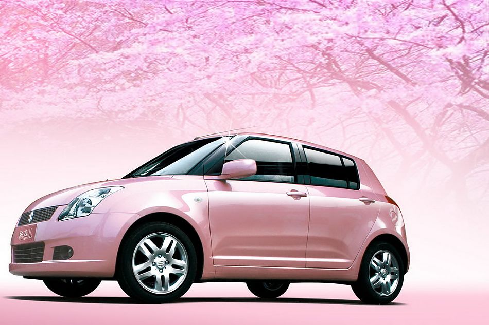 粉红雨燕特别版