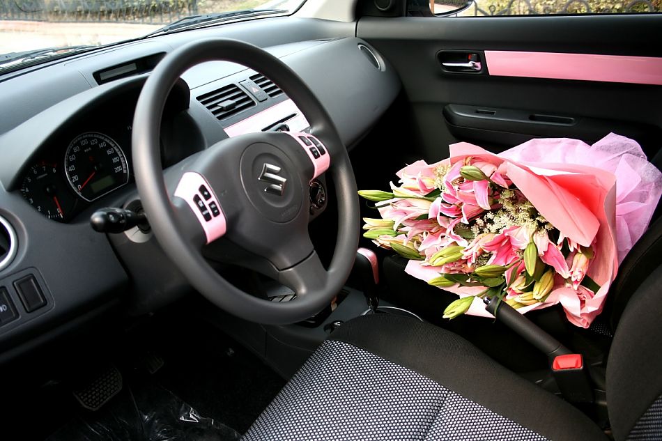 粉红雨燕特别版