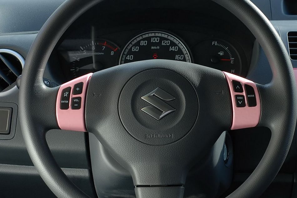 粉红雨燕特别版