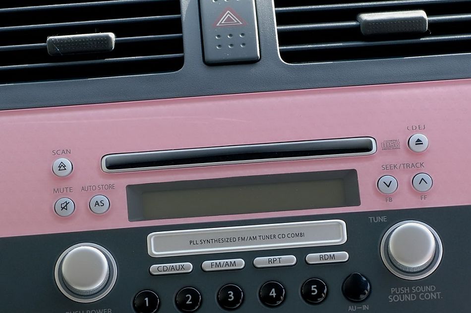 粉红雨燕特别版