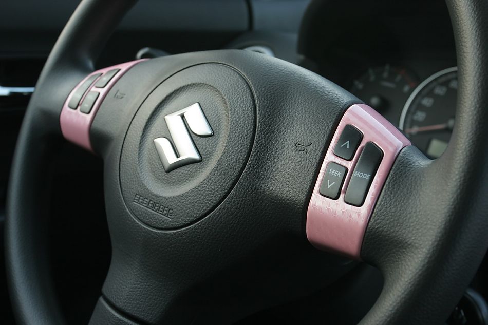 粉红雨燕特别版