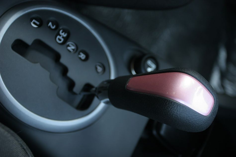 粉红雨燕特别版