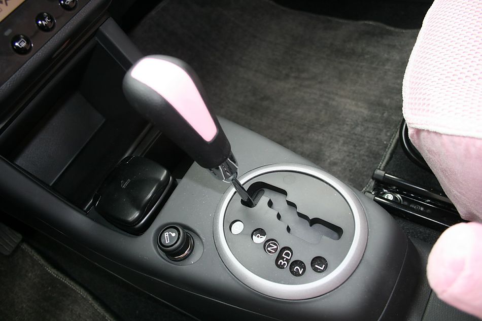 粉红雨燕特别版