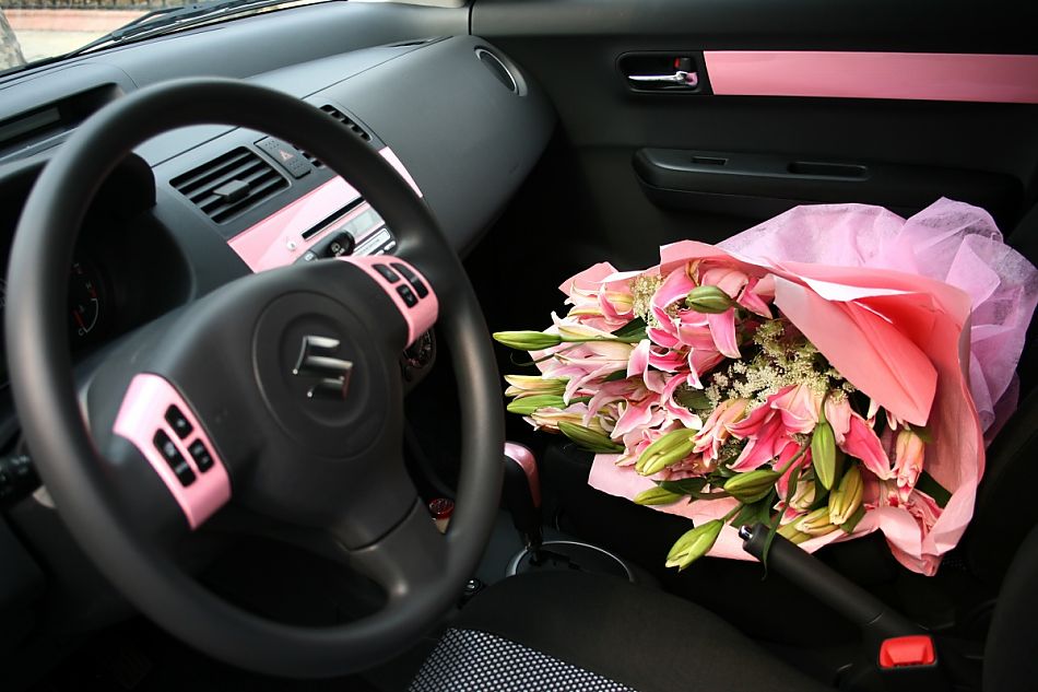 粉红雨燕特别版