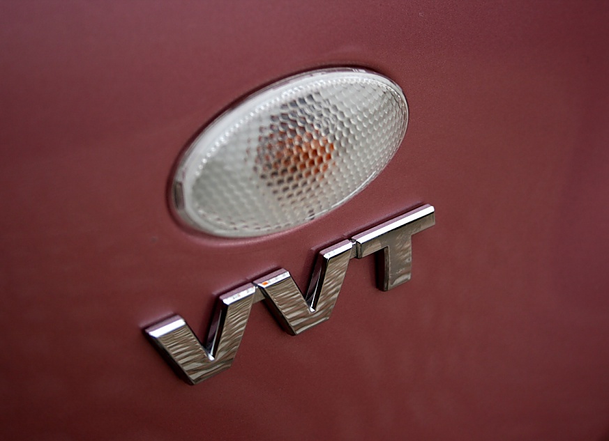 粉红雨燕特别版