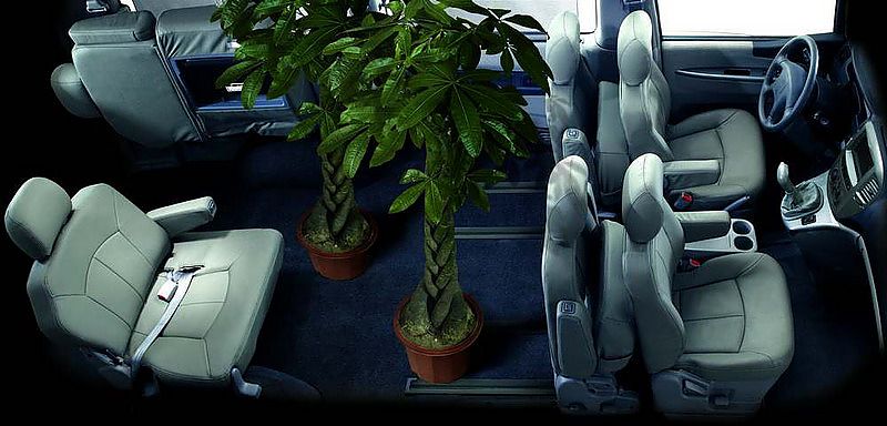 07款风行内饰图片