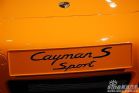 ʱCayman S