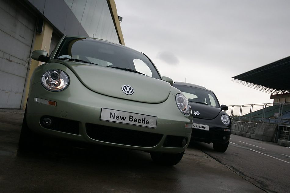 图为新甲壳虫合影