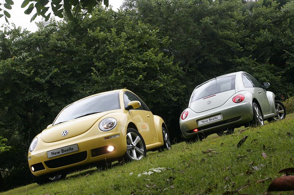 图为新甲壳虫合影