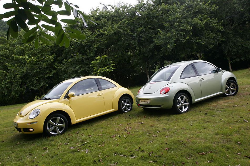 图为新甲壳虫合影