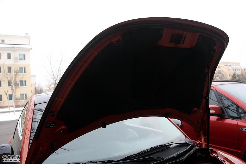 进口大众甲壳虫“墨橘版”