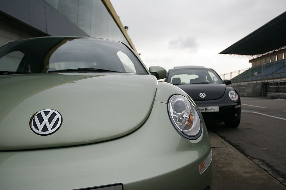 图为新甲壳虫合影