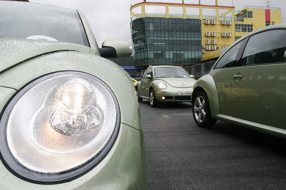 图为新甲壳虫合影