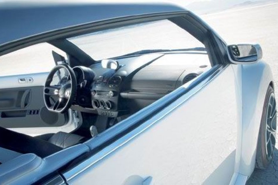 大众新甲克虫赛车版