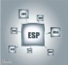 ESPͼ