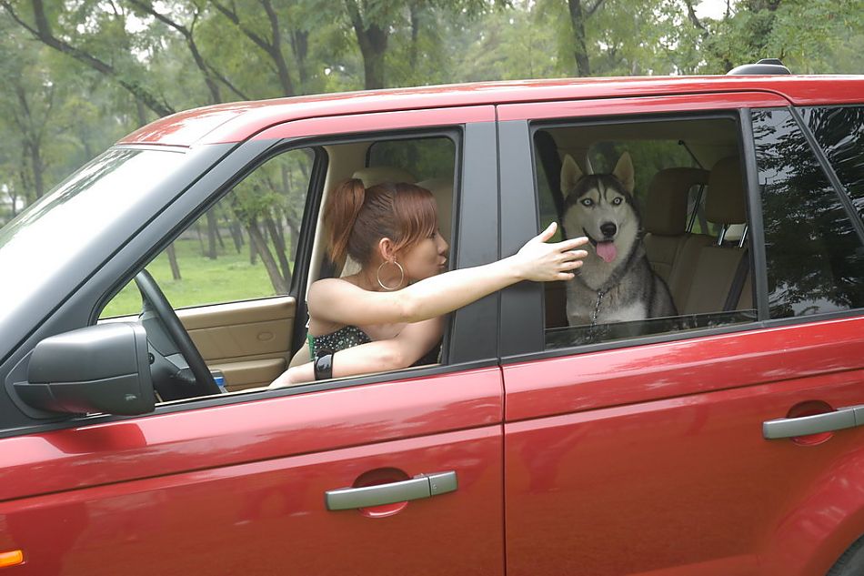 路虎揽胜运动版野趣越野