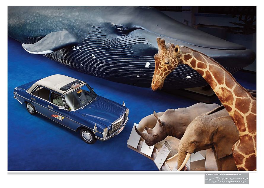 奔驰E级车精彩壁纸欣赏