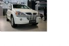 双龙kyron SUV