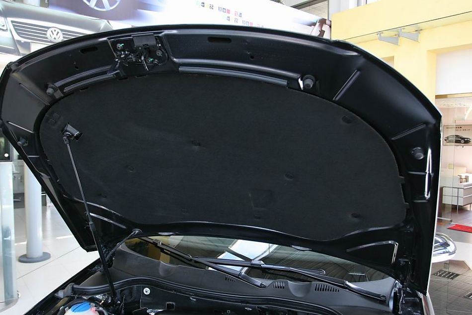 迈腾2.0TSI舒适型手自一体引擎细节