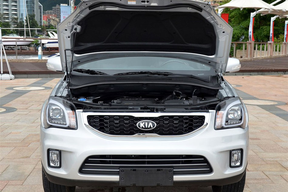 狮跑 2013款 2.0L 两驱 AT Premium 引擎底盘