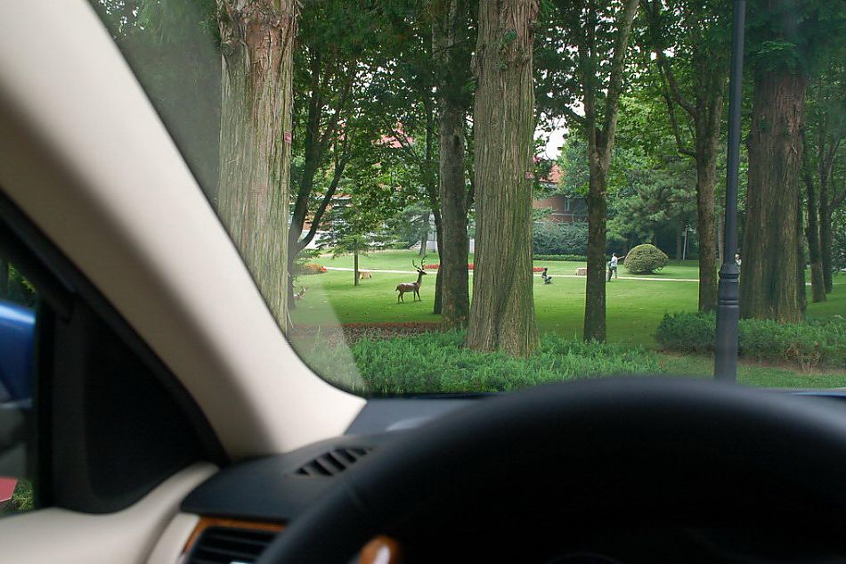 新宝来试车实拍图内饰