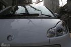 smart fortwoۼϸ