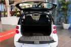 2013smart fortwo 1.0 MHDӲر