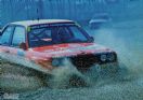 BMW M3 E30 racing Walter Wilbert