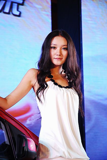 新奥拓上市现场车模