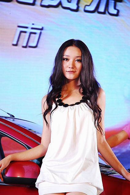 新奥拓上市现场车模