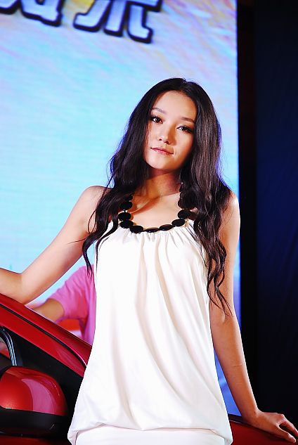 新奥拓上市现场车模