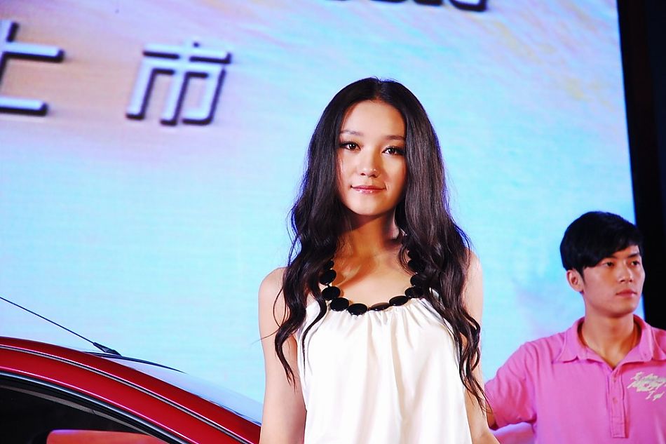 新奥拓上市现场车模