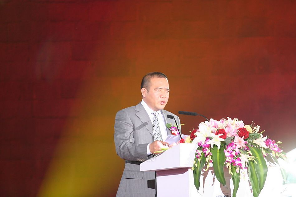 辽宁省人民政府副秘书长上官炜星