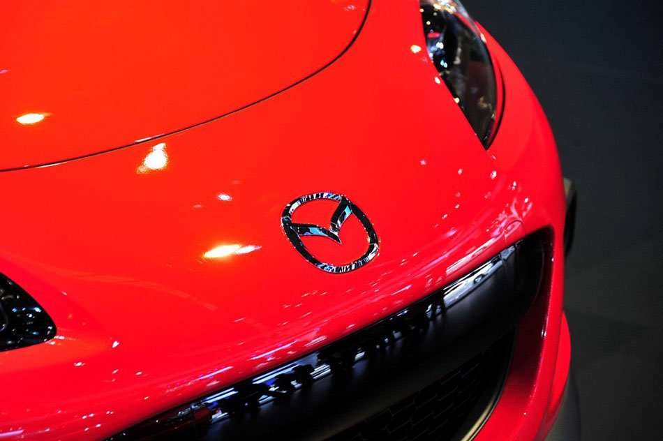 2013款 基本型 细节