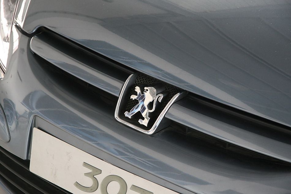 神龙汽车标致307进气格栅