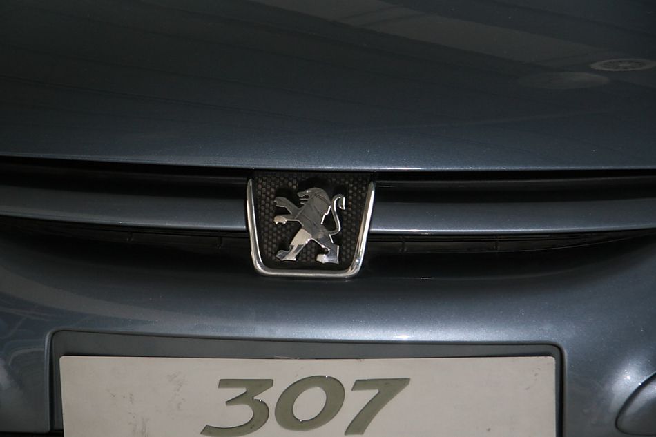 神龙汽车标致307进气格栅