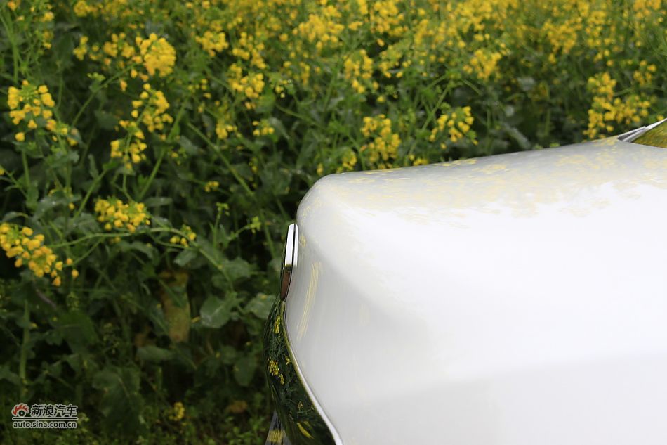 启辰D50外观细节实拍