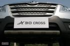 H30 CROSSۼϸ